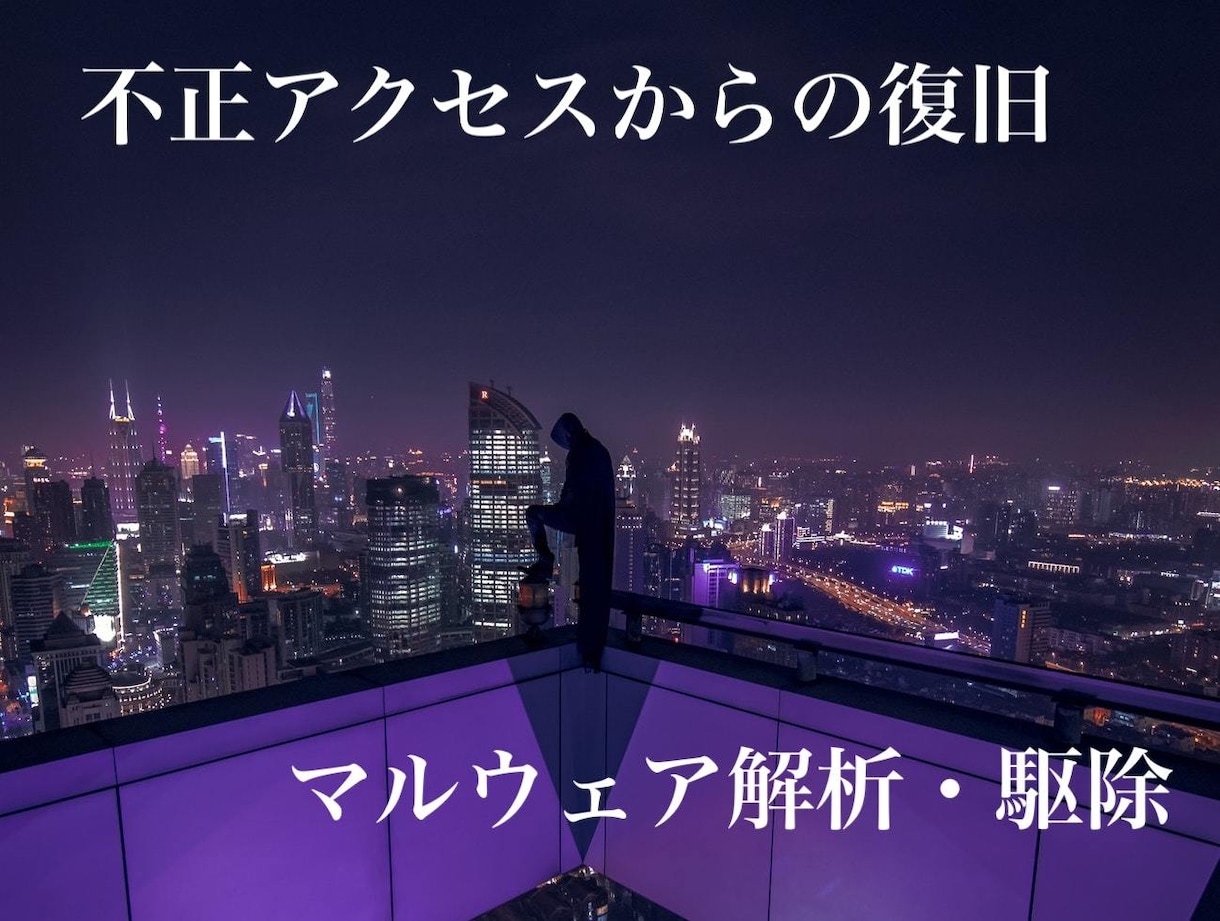ハッキングされたシステム復旧・対策します 最高峰のセキュリティ対策を提供します イメージ1