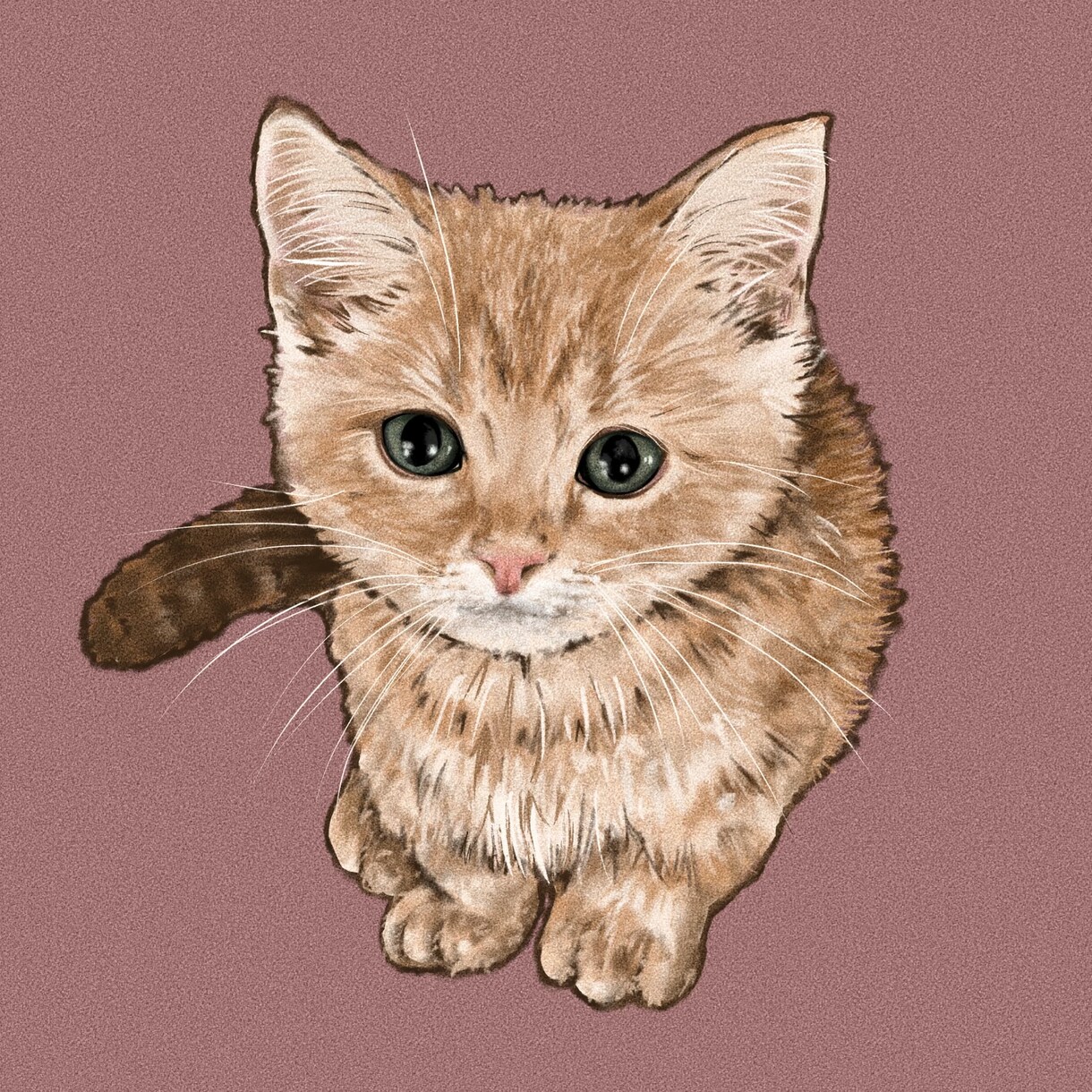 特典★メイキング動画無料！ペットイラスト作成します アイコン、待ち受け、プレゼント等ご自由にお使いください！ イメージ3