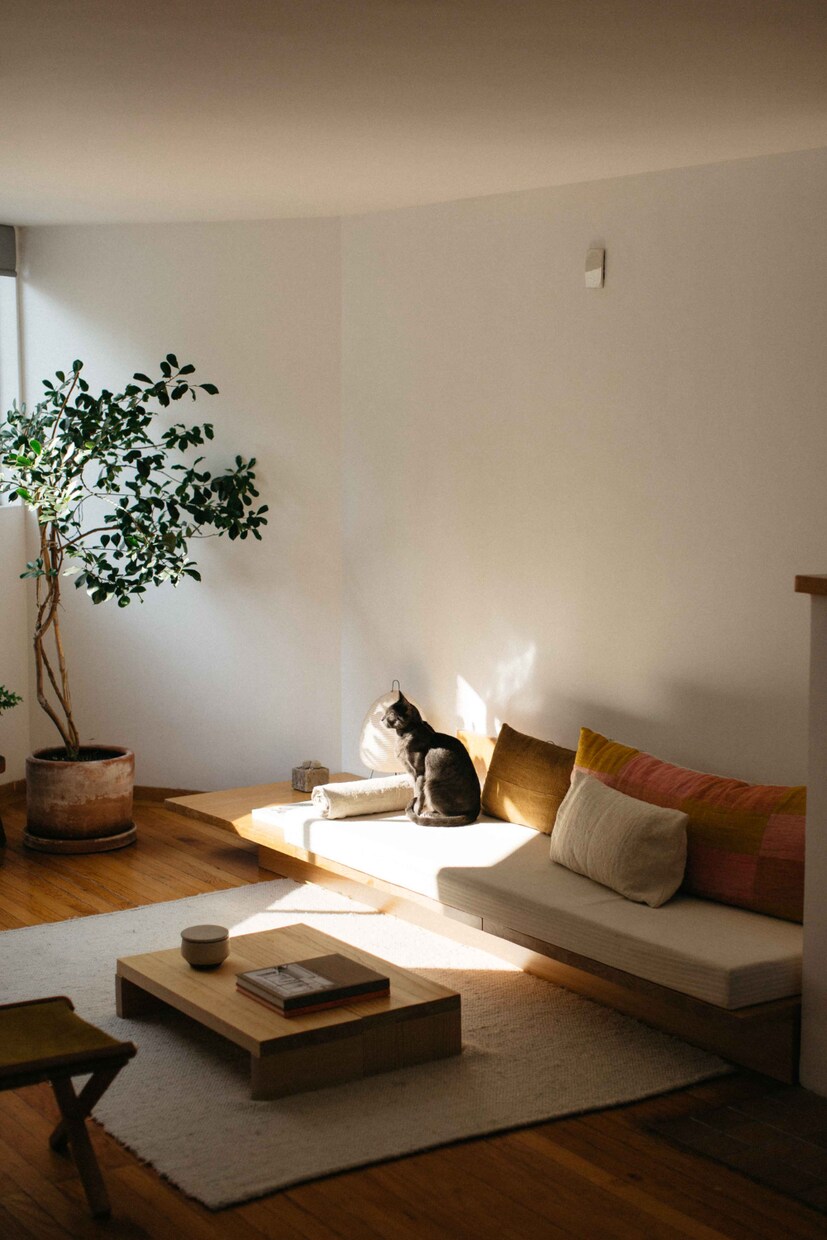 お引越で賃貸物件を探している方、アドバイスいます プロの建築士が賃貸のお部屋についてアドバイスいたします。 イメージ1