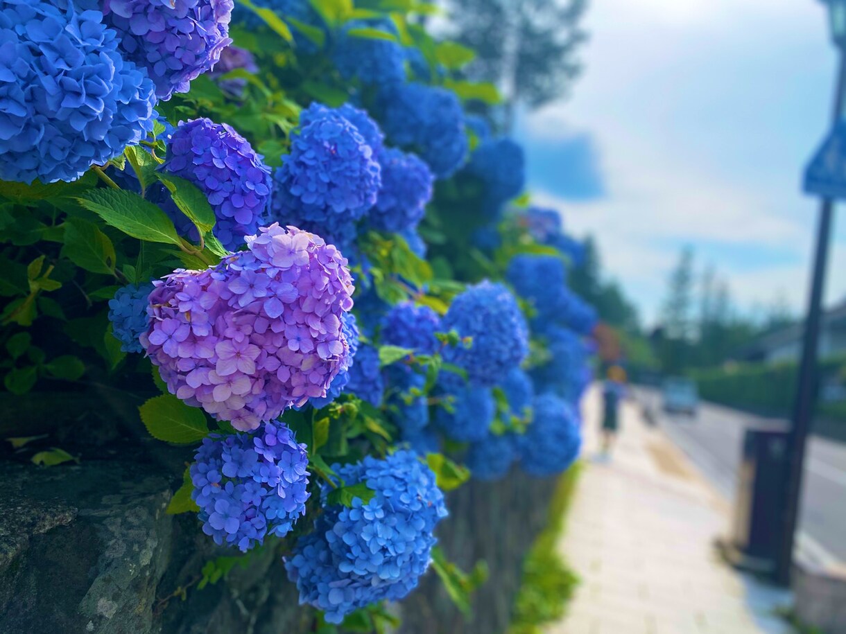 心が軽くなるお手伝い致します 生きるという事。心の声を言葉にして伝えて下さい。 イメージ2