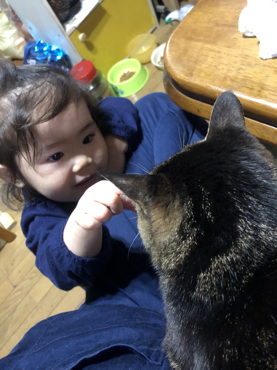 1人で悩まないで話を聞きます 共感出来ることがあるかもしれません。話してみませんか？ イメージ1