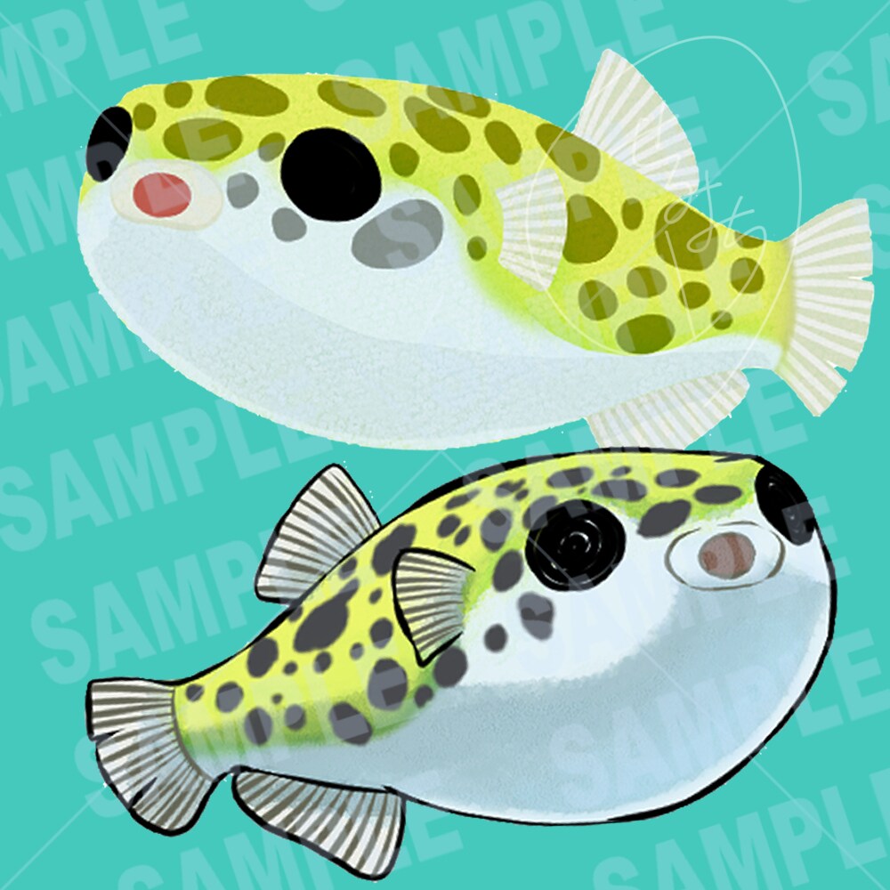 魚のSNSアイコン、ヘッダーイラストお描きします 田舎で釣りばかりしていたから描ける魚のイラストお描きします イメージ5