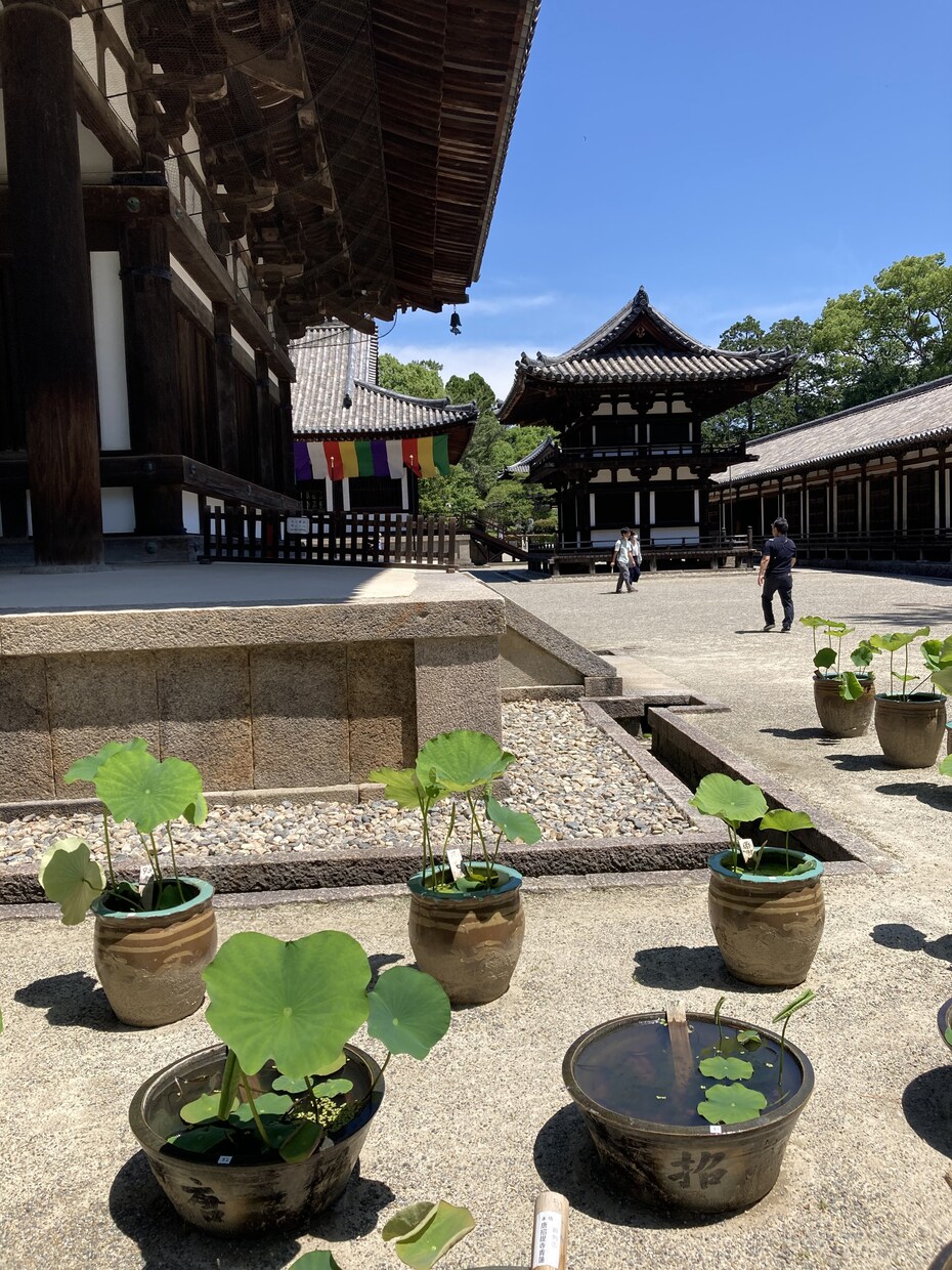 発達障がいのある方の悩み事を一緒に整理します 特性を整理し、悩み事の解決を目指して一緒に考えます。 イメージ2