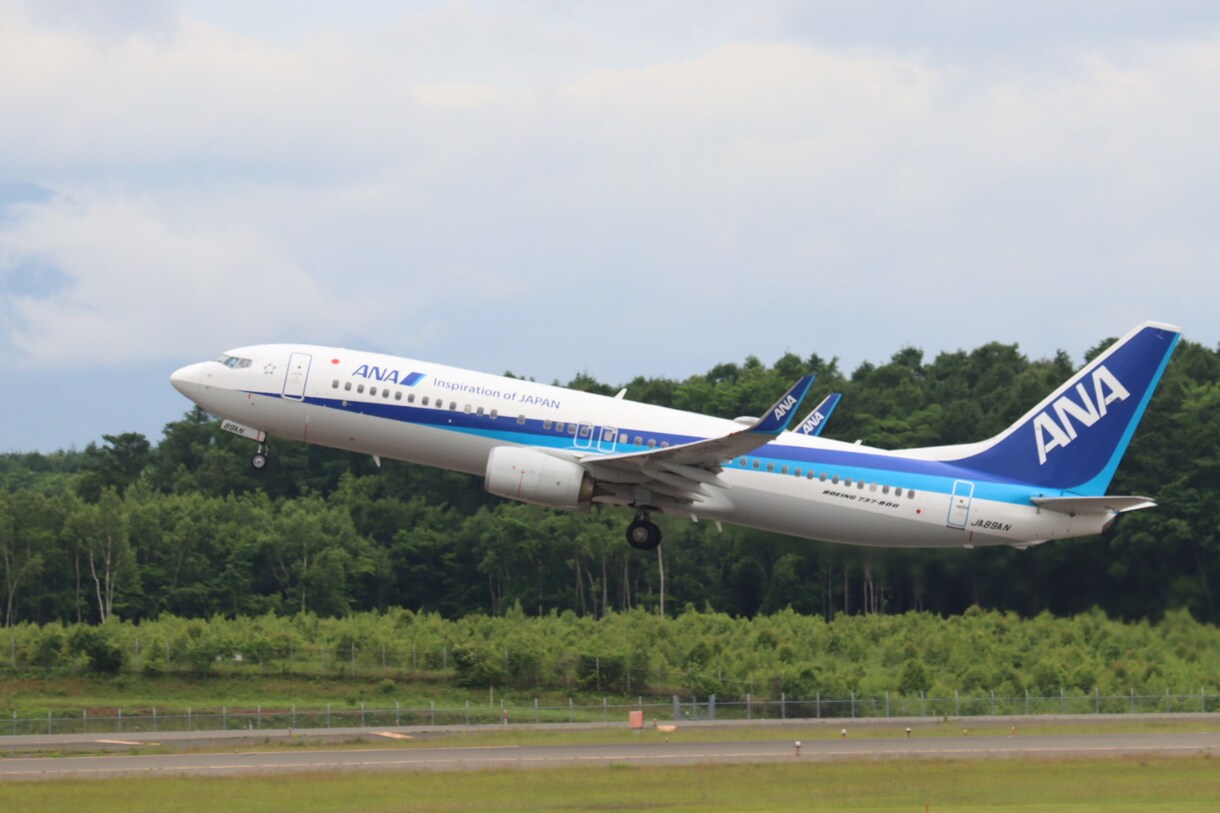 撮影した旅客機（ANA様）の写真を提供します あなただけのための飛行機写真を提供します。 イメージ4