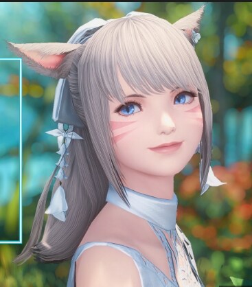 FF14のACTやLancherの導入を手伝います 全く分からない方でも丁寧に教えますのでご安心ください！ イメージ1