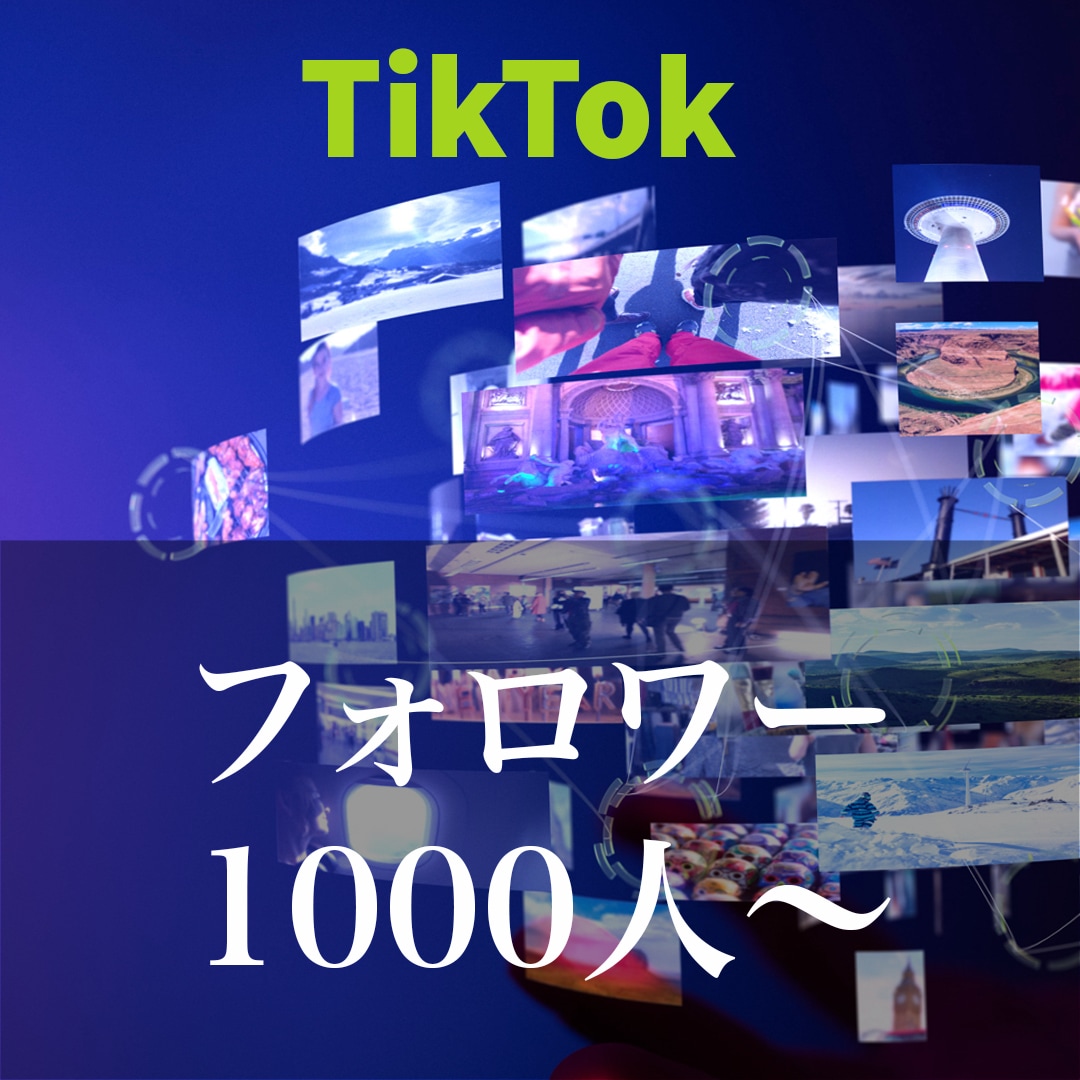 TikTokフォロワー1000人〜増やします TikTokフォロワーを1000人〜増やします。 イメージ1