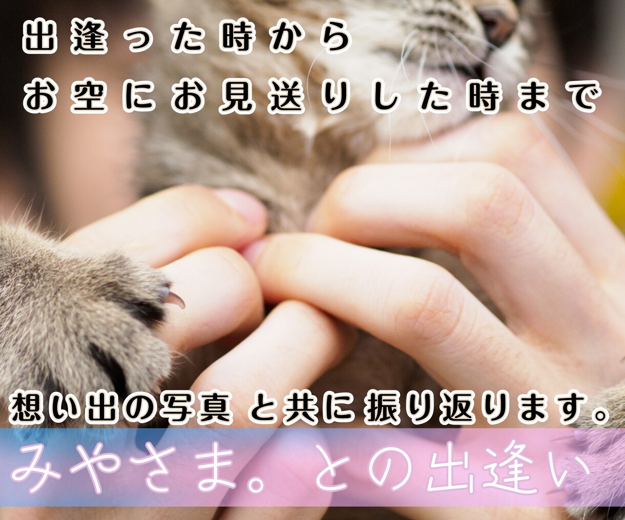 虹の橋を渡ったペット "想い出動画" つくります 「ありがとう。」　心に寄り添うナレーション。 イメージ5