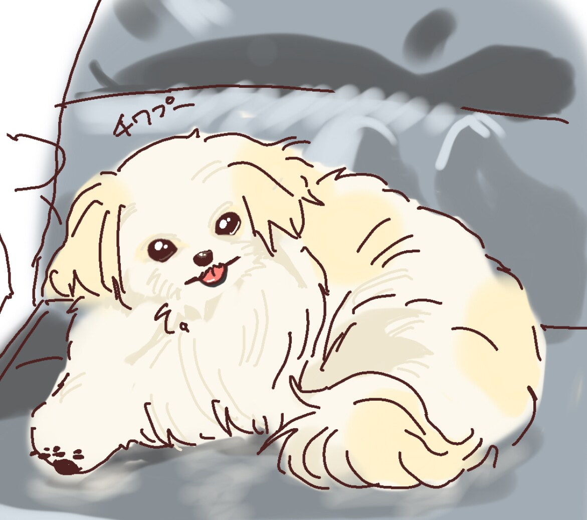 プレゼント・アイコン等❣️愛犬のイラスト描きます 可愛い愛犬を漫画イラストのようなタッチであなたの元へ！ イメージ4