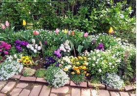 あなたのガーデニングライフをサポートいたします お花や植物の名前を覚える技術、園芸愛好家のための記憶術 イメージ1
