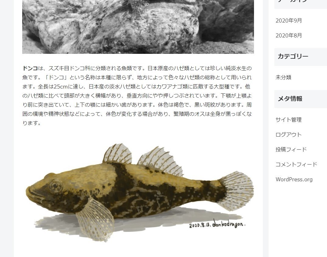 ウェブサイト用、手描き風イラストを製作いたします 広告やホームページに手描き風イラストを入れたい方は是非！ イメージ6