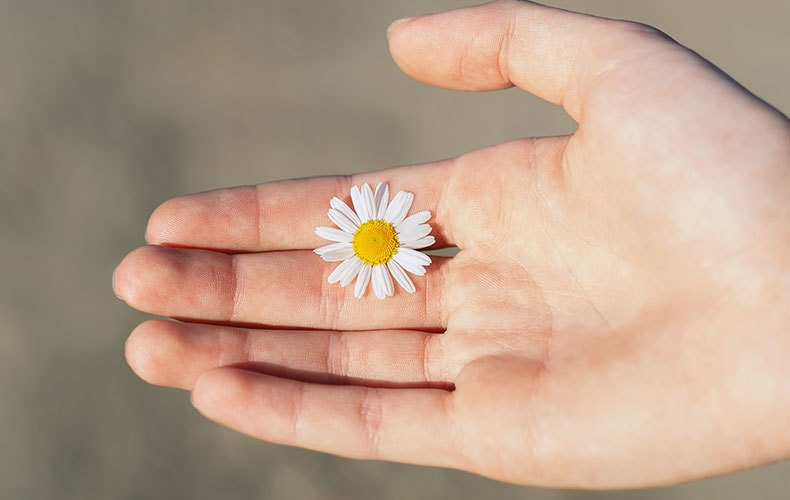 悩みには大きく分けて３種類あります 「何を どうすればいいか 分からない」を一緒に整理します。 イメージ2