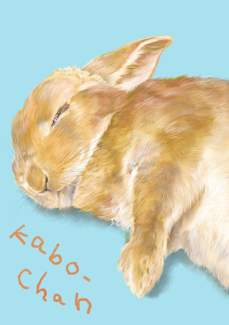 世界でたった一つのうちの子グッズつくります 元美大生がかわいいうちの子を描かせていただきます！ イメージ6