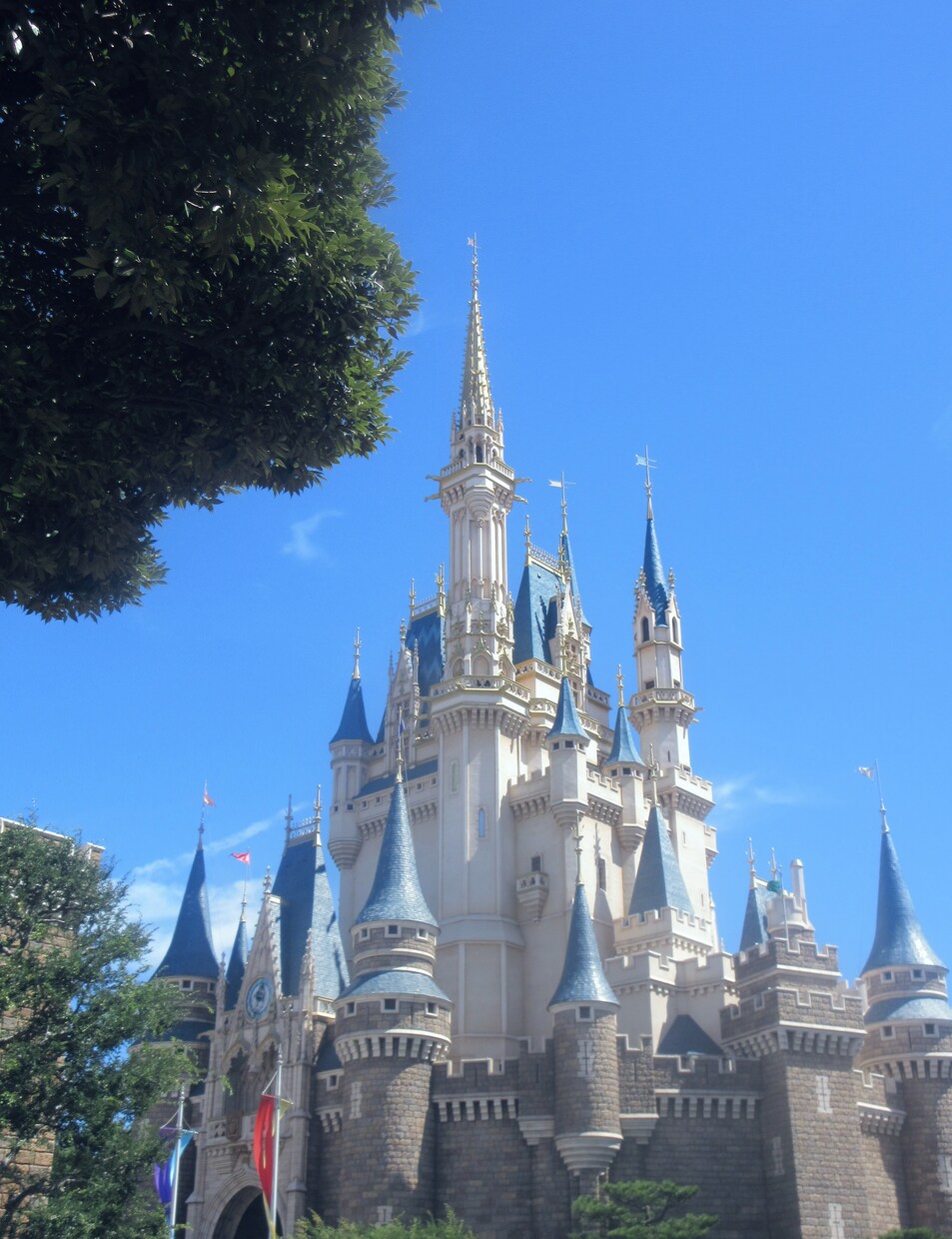 ディズニーでの特別な思い出づくりを手伝います 一生に一度の思い出。ディズニーで素敵な時間を過ごしませんか？ イメージ1