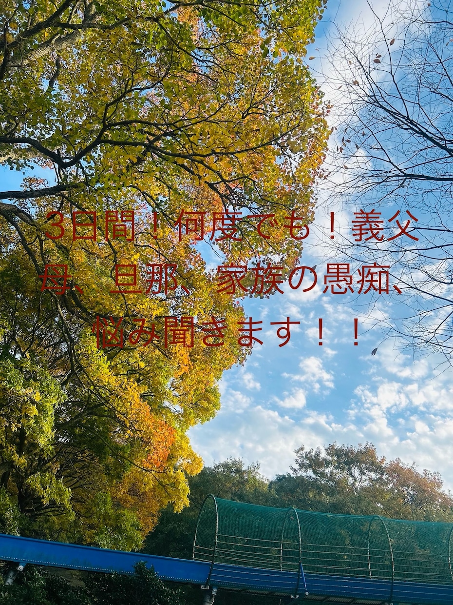 3日間じっくりお話し聞きます 義母、旦那の愚痴、モラハラ等お話しください。 イメージ1