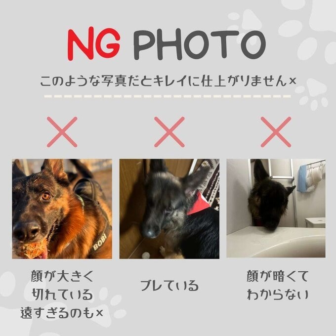 ペットのお洒落な似顔絵パネルを制作します あなたと愛するペットの絆を永遠に残すためのデジタルアート制作 イメージ10