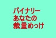バイナリー手法(裁量)を教えます あなたのバイナリーの手法(裁量)はこれで決まりだ イメージ1
