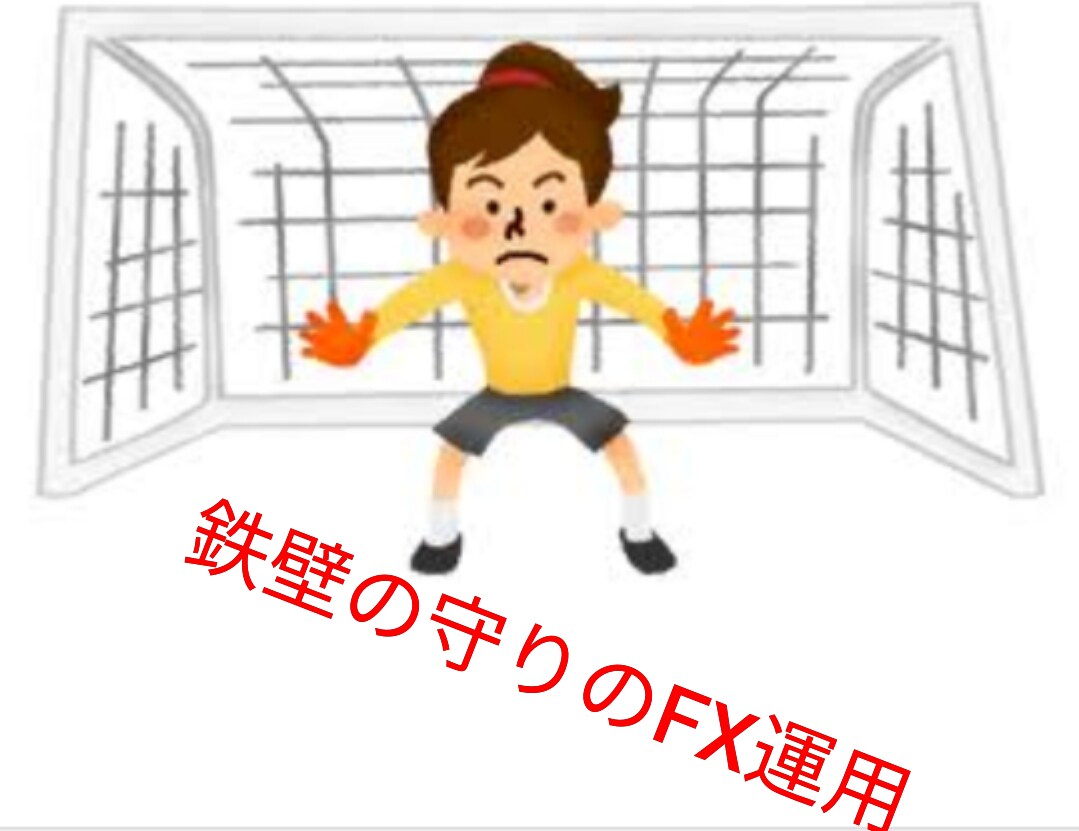 忙しいサラリーマン向けです！鉄壁のFX運用教えます 不安定な時代だからこそ守りを固めた安全運用で稼ごう イメージ1