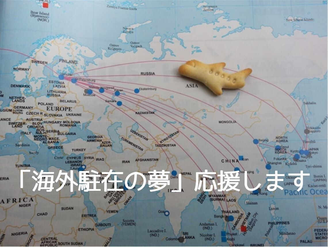 将来「海外駐在したい学生さんへ」相談のります 2ヶ国の海外駐在経験者が「あなたの海外駐在の夢」を応援します イメージ1