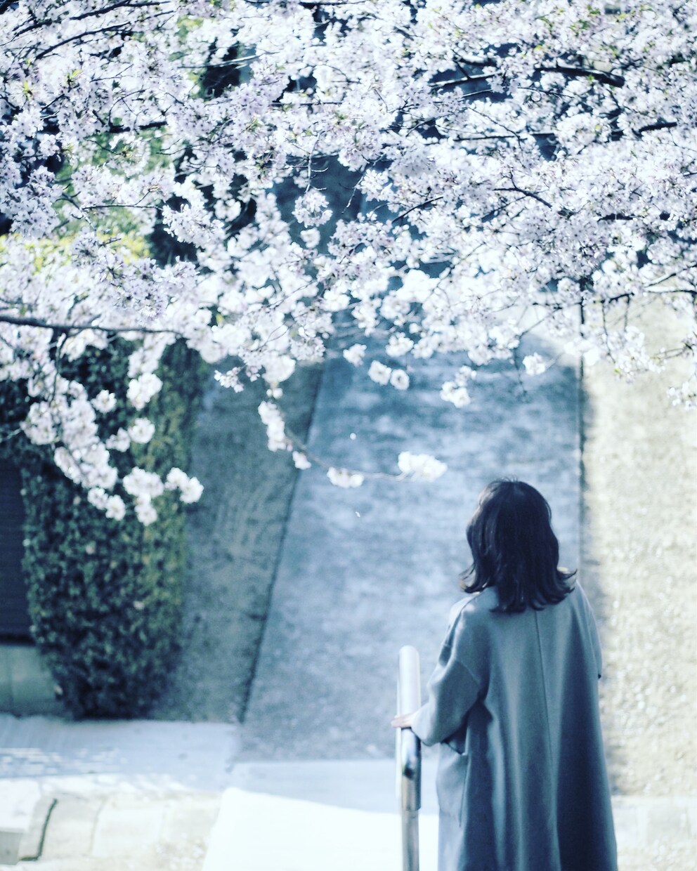 男女OK‼️行き詰まった恋の悩み聞きます デリケートで特別な恋愛感情♡モヤっとした気持ちを晴れやかに♡ イメージ8