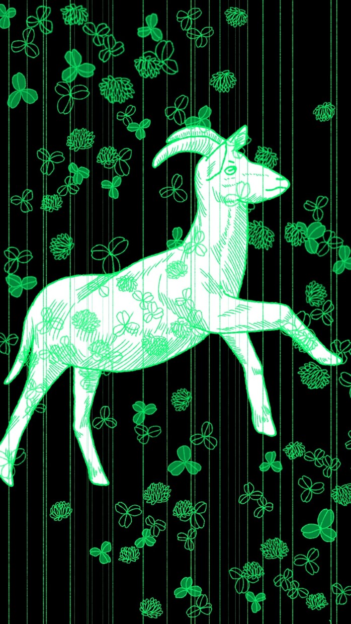 動物、花、人物のイラストを描きます あたたかみのあるイラストをご希望の方ぜひお任せください！ イメージ3