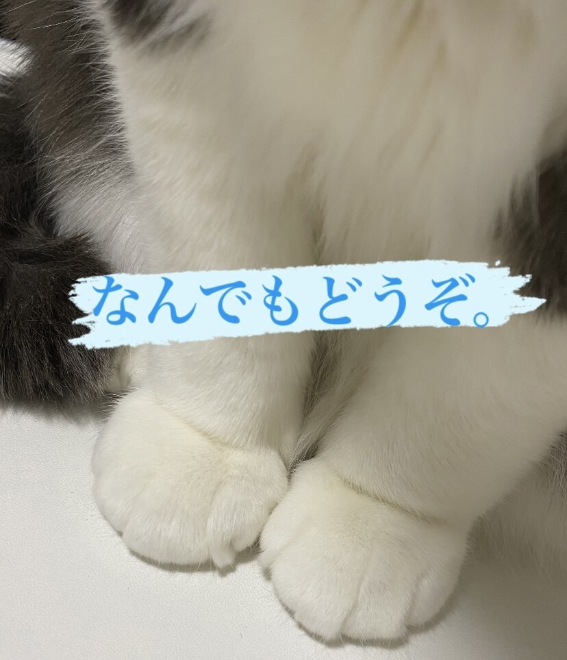 3日間◎チャット感覚でお話ききます なんでも可◎一緒に絵しりとりでもしませんか？ イメージ1