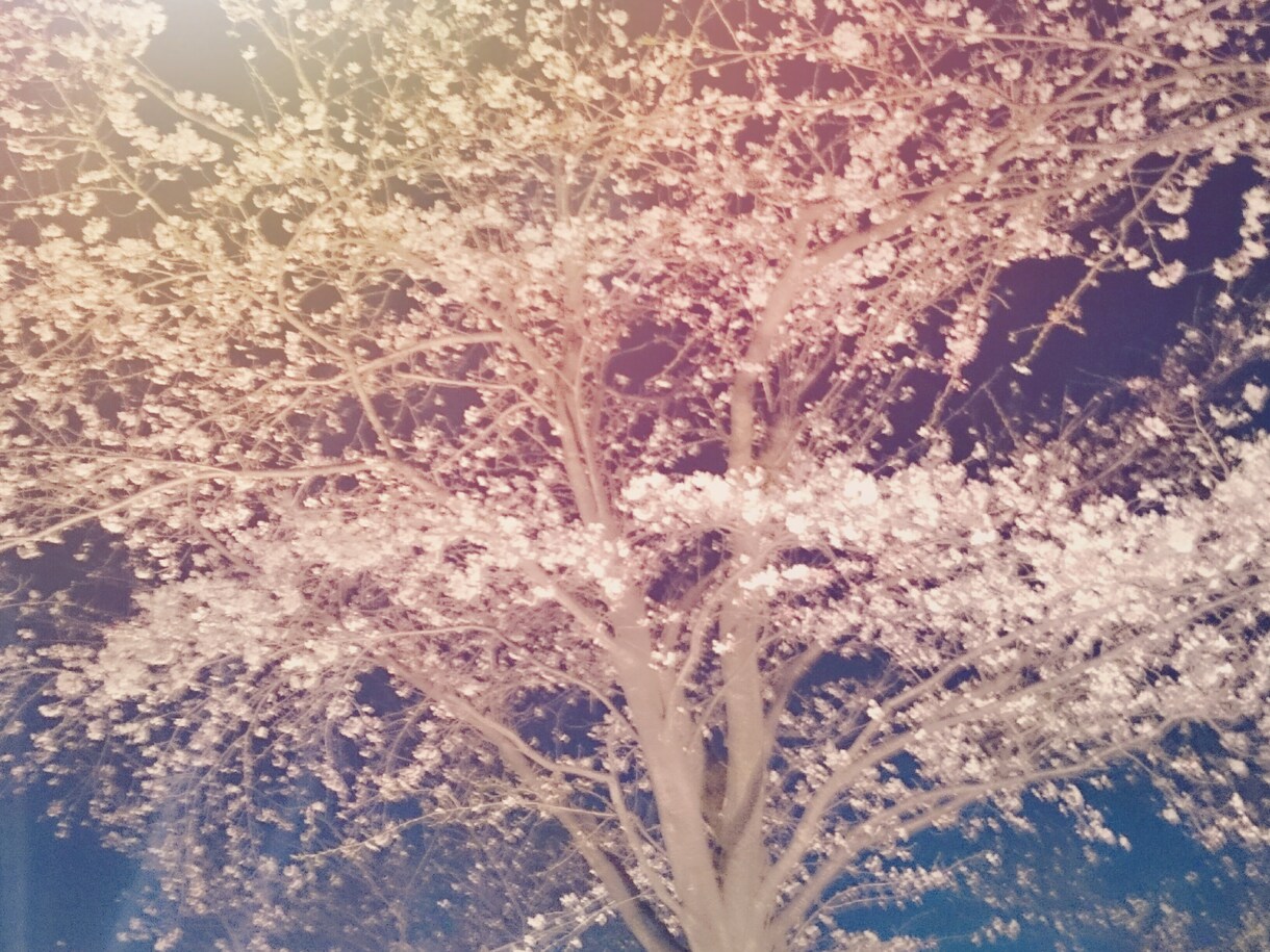 作品に添える文章作ります✡｡:* イメージ1