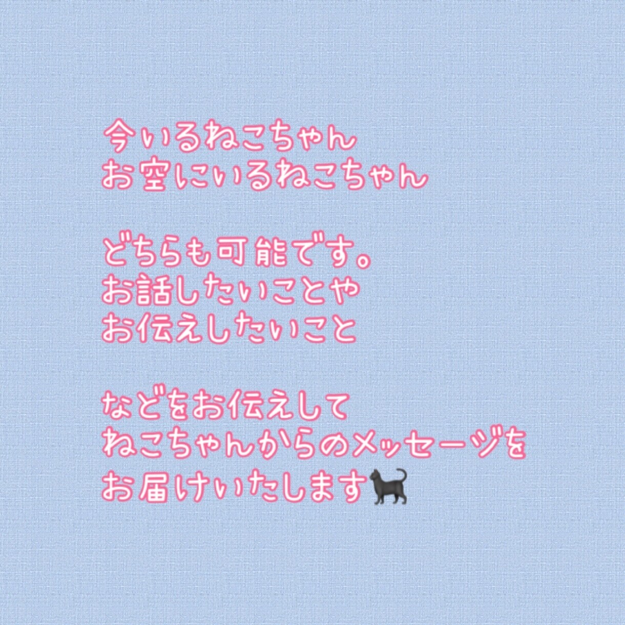 キャットコミュニケーション　鑑定致します ご家族のネコちゃんお空のネコちゃんとコミュニケーション イメージ3