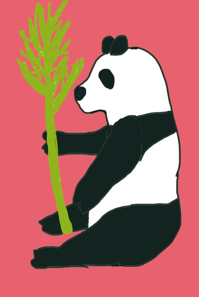 ゆるくてキモくてかわいい感じのイラスト描きます 個性を出したい方へ。主に動物のイラストなど。 イメージ3