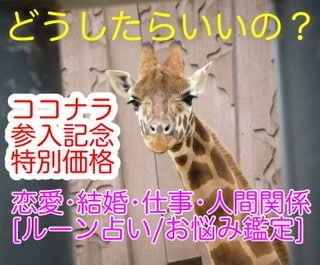古代北欧より伝わる神秘的なルーンストーンで占います 恋愛、結婚、仕事、子育てなどの悩み。お気軽にご相談下さい♪ イメージ1