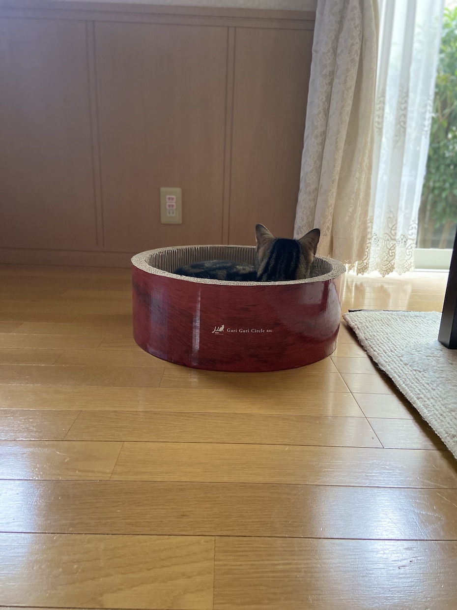 何でもお話しお聞きします 心を軽くしてスッキリして下さい イメージ1