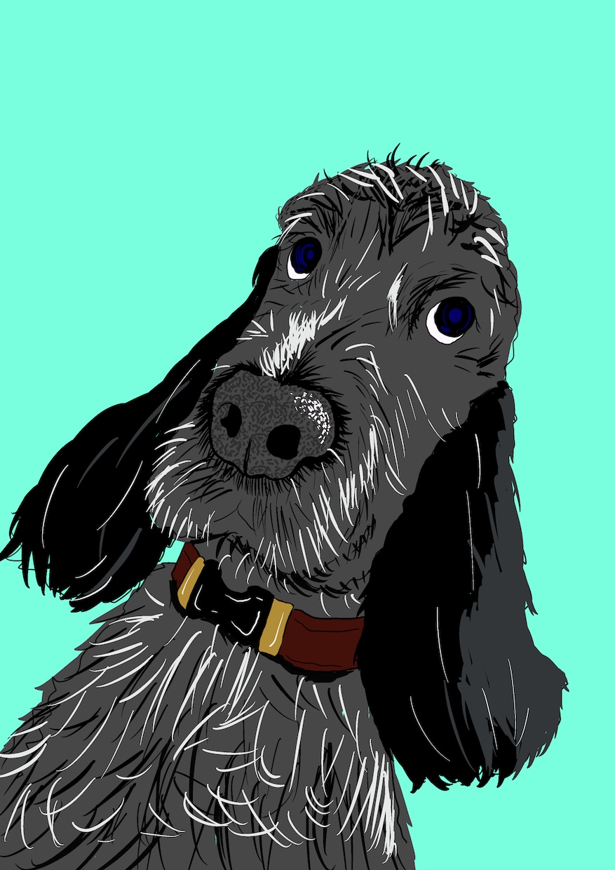 愛犬、愛猫、動物のイラスト・アイコンを作成します 動物の絵ならお任せください！リアルもアイコニックもokです！ イメージ2