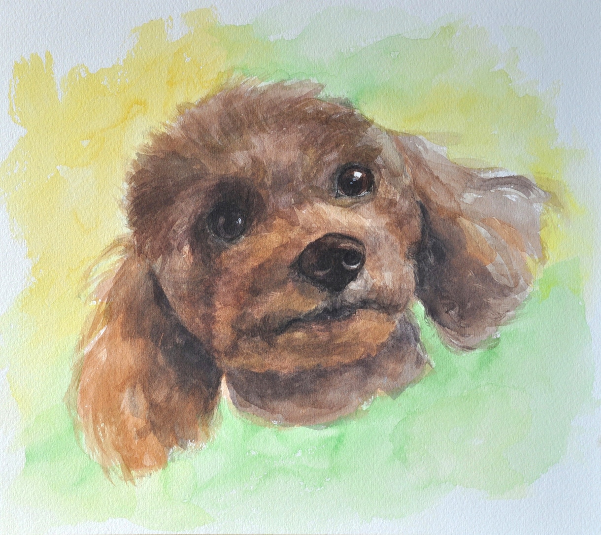 透明水彩絵の具でペットの肖像画を描きます 皆様の大切な家族をお描き致します。 イメージ2