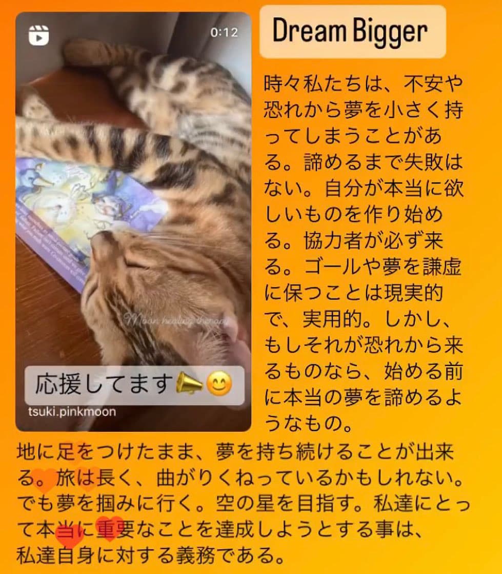 電話で心がほどける！オラクルカード引きます 電話で相談するだけで、迷いがほどける不思議体験 イメージ5