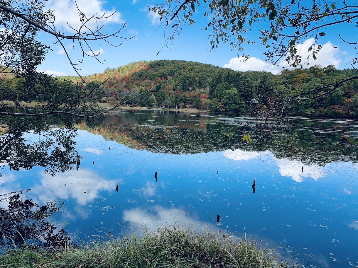 相手の気持ち・未来・人生の迷いを丁寧に読み解きます 潜在意識にアクセス、具体的な解決策、心が軽くなる総合鑑定 イメージ7
