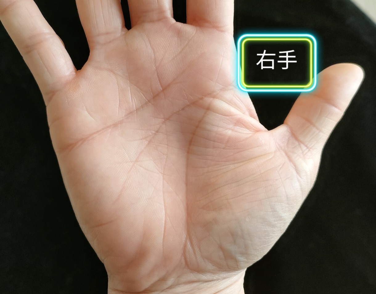 人生の【原因】と【結果】が分かります 両手の手相はあなただけの未来設計図。現在地を知って掴む未来。 イメージ5