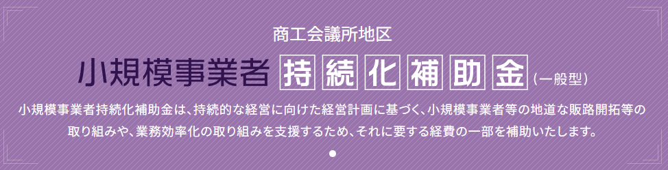 審査に強い補助金テンプレートで計画書を作成できます 初めてでも簡単！安心の「購入者限定」質問対応1回無料付き イメージ1