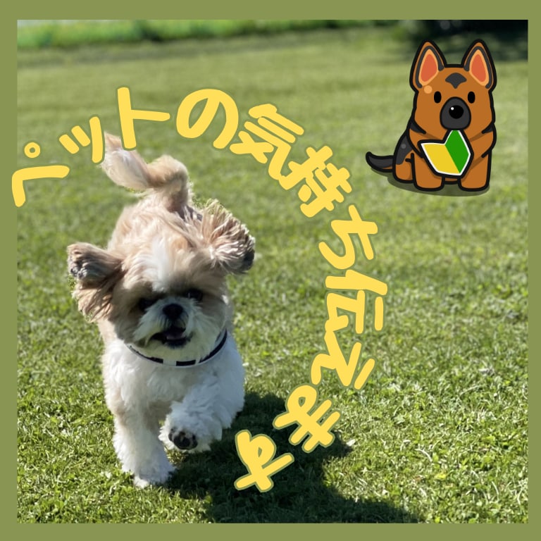 寄り添い鑑定！貴方の大切なペットの気持ち伝えします 陰陽※霊視☆五行とヒーリングで愛しい家族の気持ちを癒します イメージ1