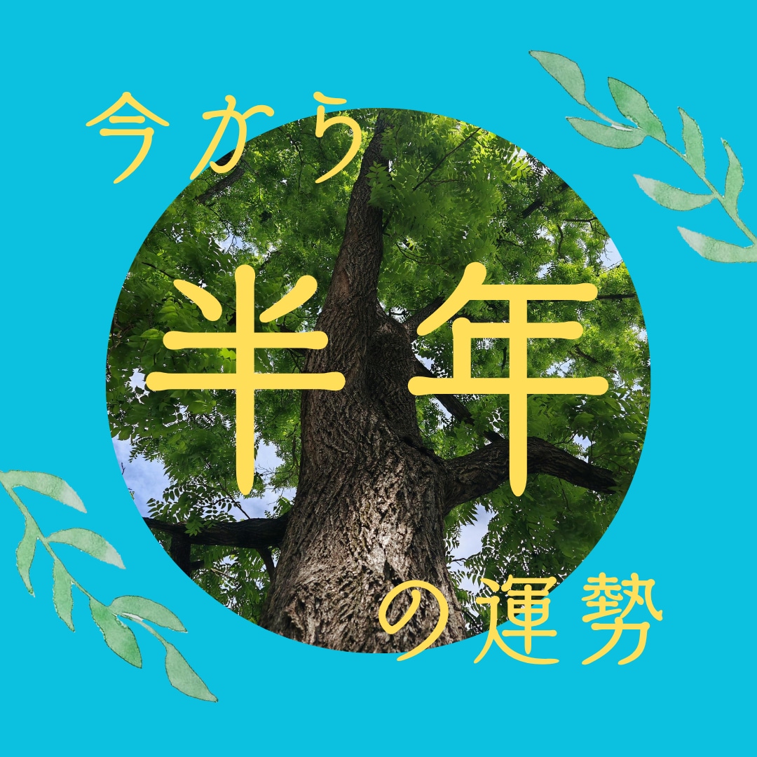 半年間の運勢を鑑定します ☆その期間の運気の流れを観ます。 イメージ1
