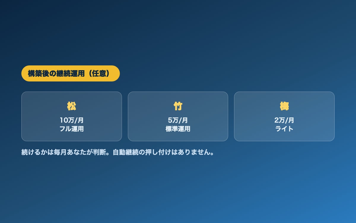 あなた専用「AI社員チーム」を丸ごと構築代行します 「AIを入れたのに結局ぜんぶ自分でやってる働くAI社員チーム イメージ9