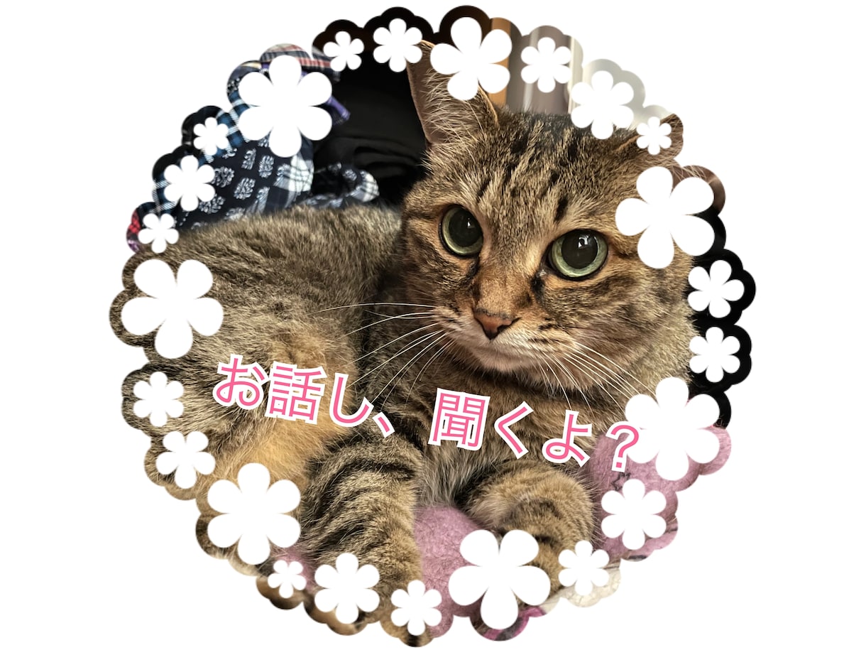 こちら、感情回収人です。心の中の感情回収致します ✳︎心の闇を吐き出して、少し荷物を下ろしてみませんか。✳︎ イメージ1