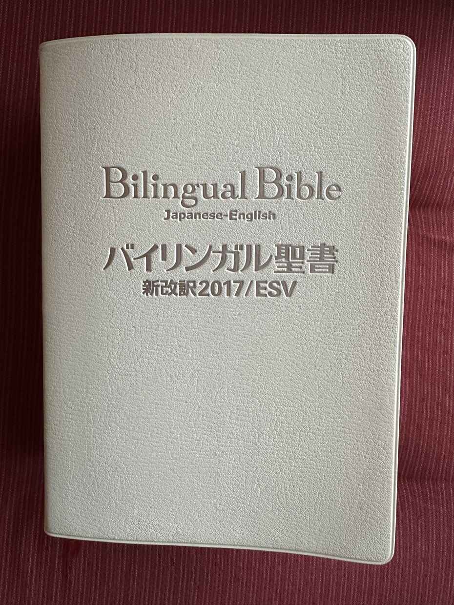 オンライン日本語レッスンを行います 日本語で日常会話を楽しみましょう！ イメージ1