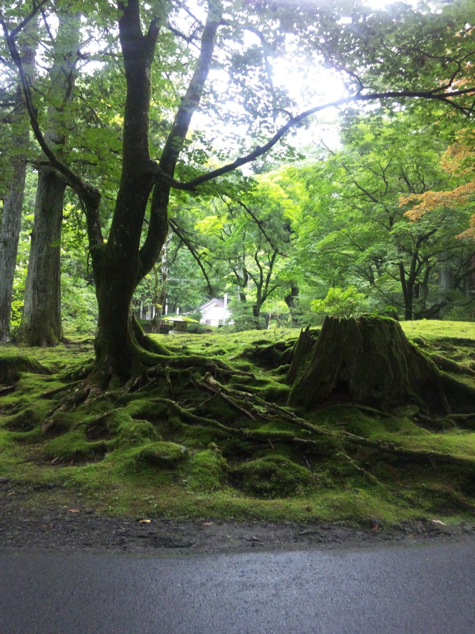 人間関係のどんな愚痴でも聞きます 人間関係で悩んだら話してみてください イメージ1