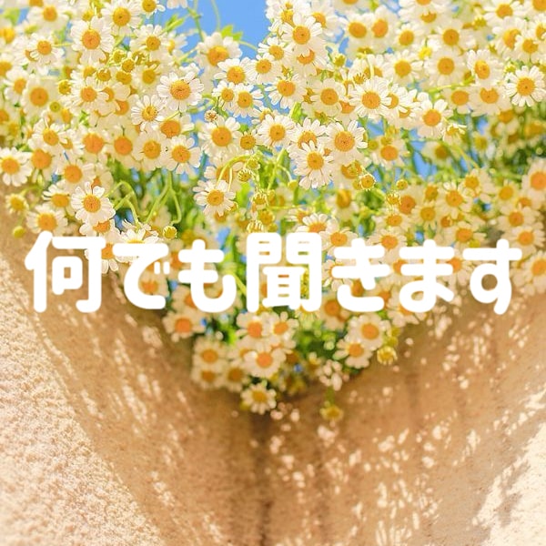 お話や愚痴、何でも聞きます ただただ聞いて欲しい！愚痴りたい！あなたに寄り添います イメージ1