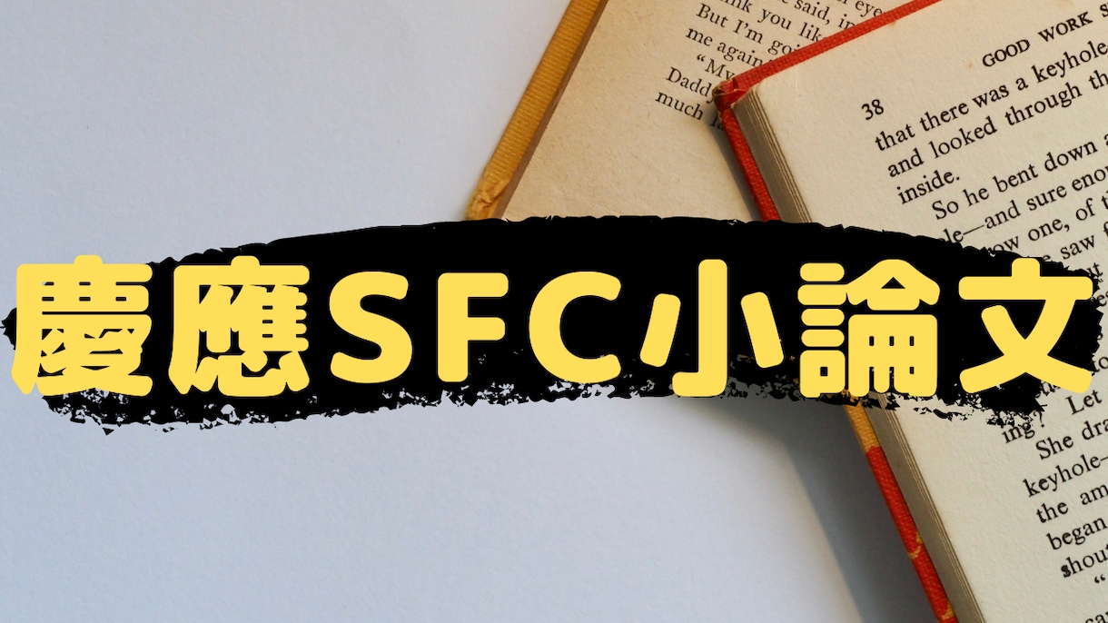 慶應SFCの小論文を添削します 小論文で悩む慶應SFCの合格を目指す方へ イメージ2
