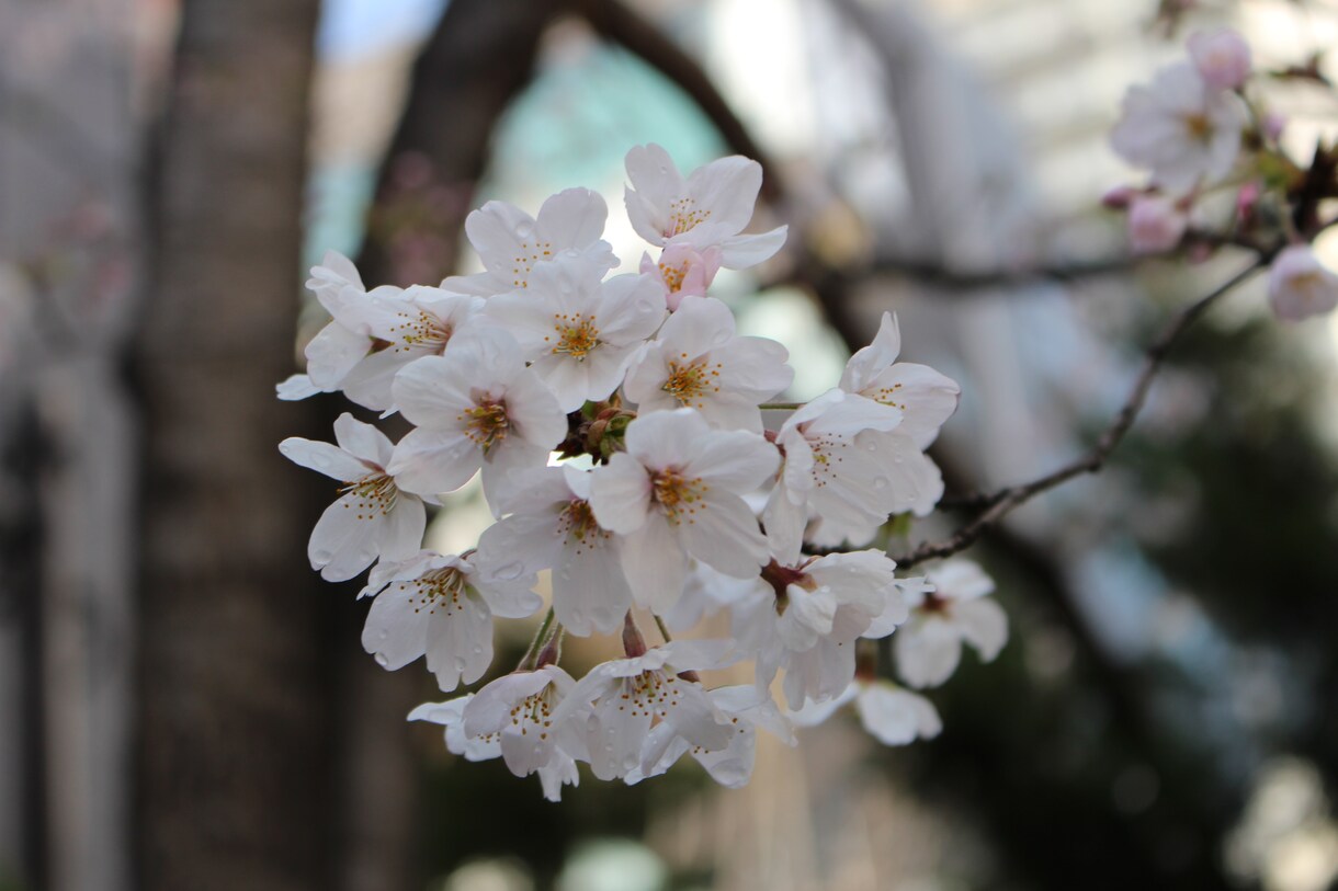お悩み相談します 人間関係や愚痴などお伺いします。(^｡^) イメージ1