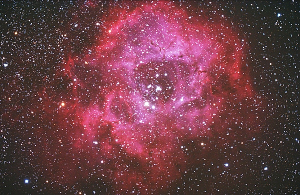 星と花のチカラを借りてあなたを癒やします 希望の光を【西洋占星術／フラワーエッセンス】 イメージ1