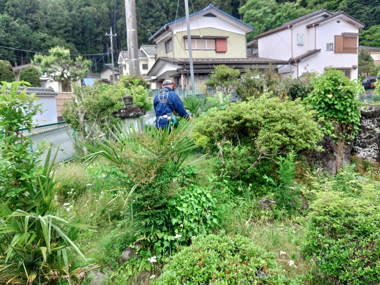 高所特殊作業から空き家のメンテナンスまで承ります 個人のお客様から企業様まで、幅広いご要望にお応えします！ イメージ1
