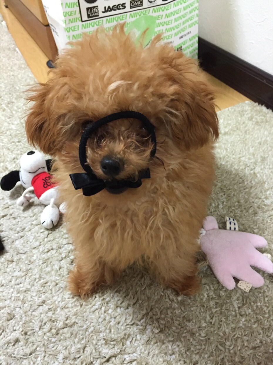 悩みがある、いい事があった時などお話し聞きます どんなことでも構いません！気軽にどうぞ！ イメージ1