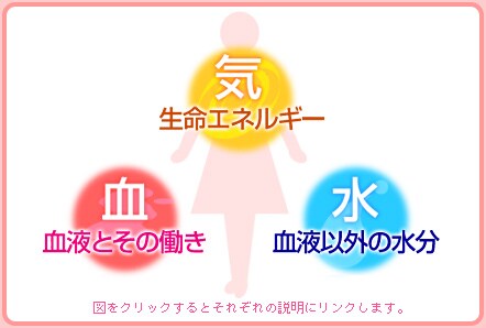 間違ったダイエットをしないために、あなたの薬膳体質が2分でわかる‼ イメージ1