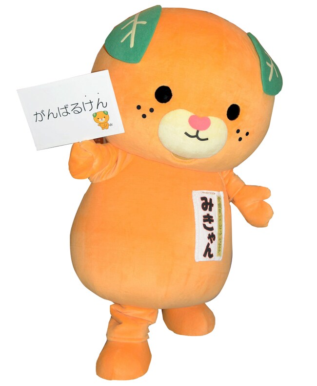 心の隙間を埋める手伝いいたします なんとなく悩み・生き辛さを感じている方…力になります♪ イメージ2